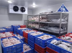 mesin blast freezer kapasitas 10 ton dari BJT by Bitzer Germany